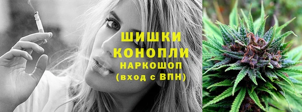 гидра Покровск