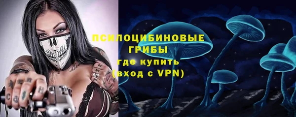 бошки Абинск