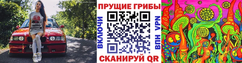 Псилоцибиновые грибы Magic Shrooms  Елизово 